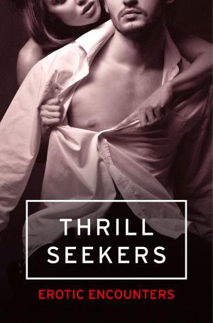 Book cover of Thrill Seekers: Erotic Encounters