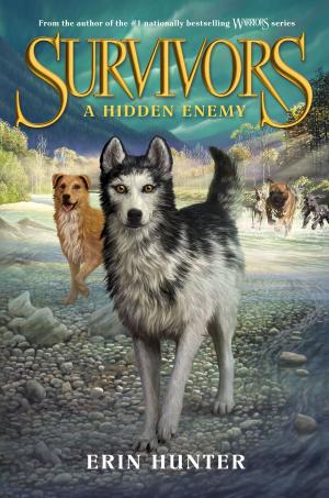 Cover of the book Survivors #2: A Hidden Enemy by Joelle Charbonneau