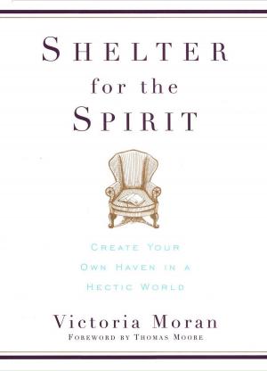 Cover of the book Shelter for the Spirit by Mitch Albom