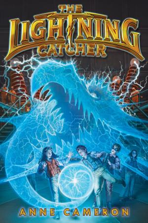 Cover of the book The Lightning Catcher by Katherine Hannigan