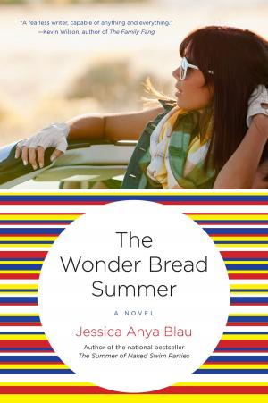 Book cover of The Wonder Bread Summer