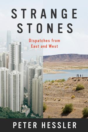 Book cover of Strange Stones