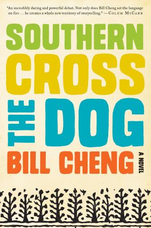 Cover of the book Southern Cross the Dog by Sally Andrew