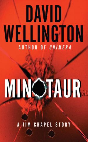 Cover of the book Minotaur by Rachel Beller