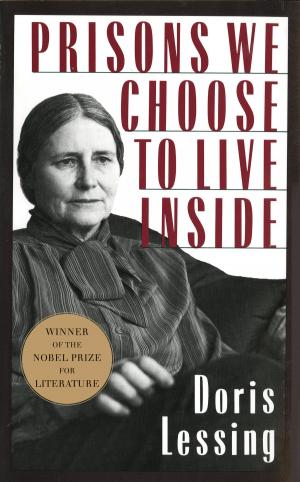 Cover of the book Prisons We Choose to Live Inside by Greg Bardsley