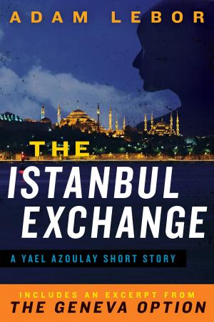bigCover of the book The Istanbul Exchange: A Yael Azoulay Short Story by 
