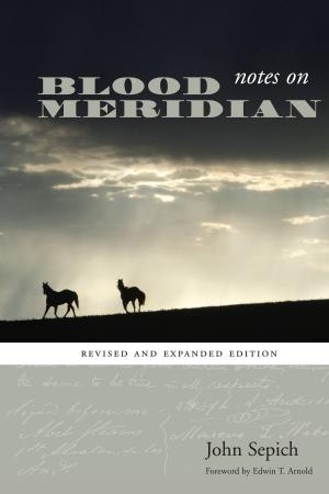 Cover of the book Notes on Blood Meridian by carine boehler