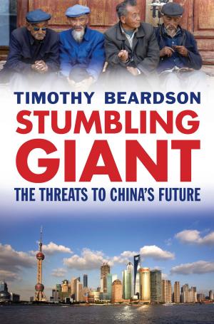Cover of the book Stumbling Giant by Eliyahu Stern