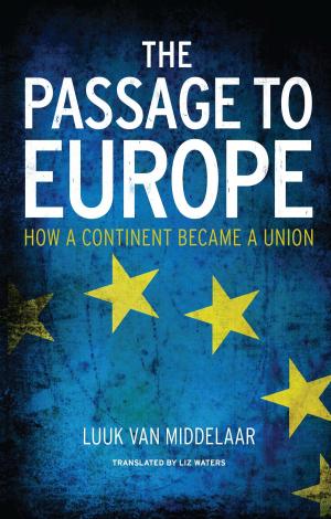 Cover of the book The Passage to Europe by David Kastan, Stephen Farthing