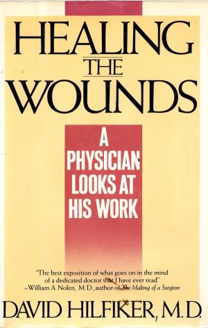 Cover of the book HEALING THE WOUNDS by Jonathan Danilowitz