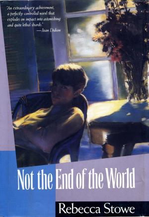 Cover of the book NOT THE END OF THE WORLD by David Hoffman