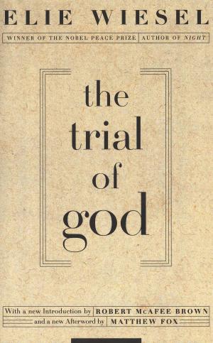 Book cover of The Trial of God