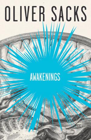Cover of the book Awakenings by Elke Schmitter