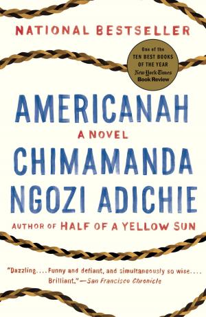 Cover of the book Americanah by Haruki Murakami