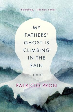 bigCover of the book My Fathers' Ghost Is Climbing in the Rain by 