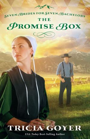 Cover of the book The Promise Box by Christy Barritt