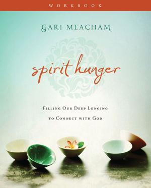 Book cover of Spirit Hunger Workbook