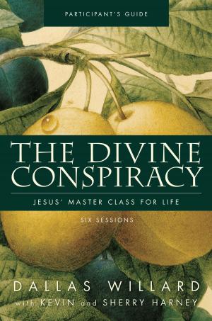 Book cover of The Divine Conspiracy Participant's Guide