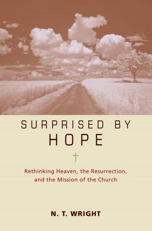 Cover of the book Surprised by Hope Participant's Guide by Mark Yaconelli