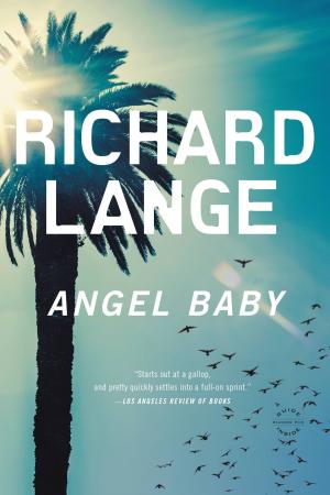 Cover of the book Angel Baby by Luis Humberto Russo
