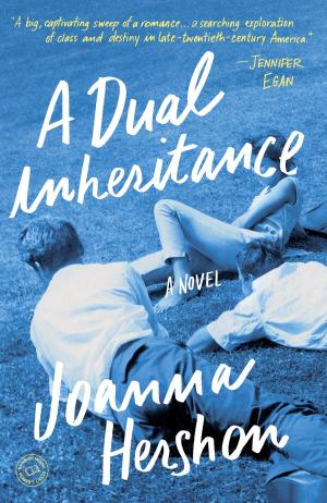 Cover of the book A Dual Inheritance by Ashlyn Macnamara