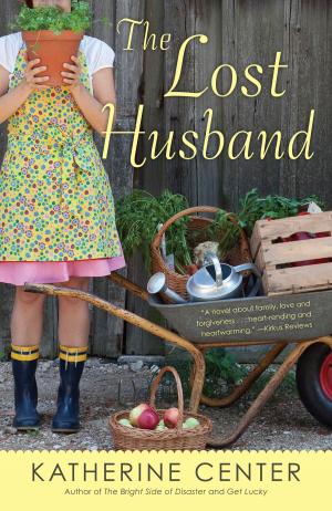 Cover of the book The Lost Husband by Linda Williams Moore