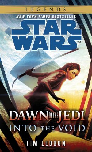 Cover of the book Into the Void: Star Wars Legends (Dawn of the Jedi) by Robin Hobb