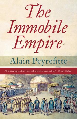 Cover of the book The Immobile Empire by Geoff Dyer
