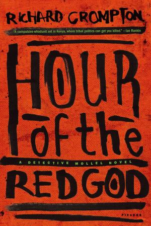 Cover of the book Hour of the Red God by Thomas L. Friedman