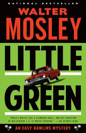 Cover of the book Little Green by Richard Schickel