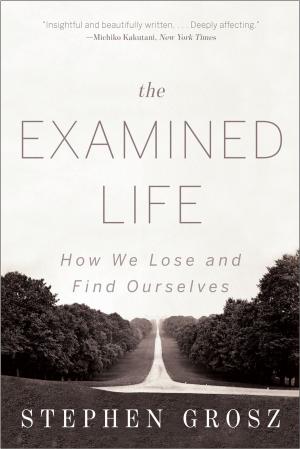 Cover of the book The Examined Life: How We Lose and Find Ourselves by A. R. Ammons