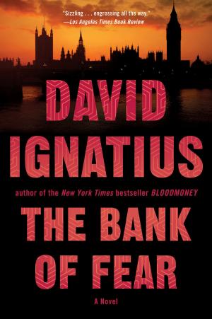 Cover of the book The Bank of Fear: A Novel by Dennis E. Shasha