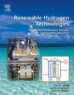 Cover of the book Renewable Hydrogen Technologies by Manfred Nitsche, Raji Olayiwola Gbadamosi