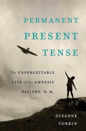 Cover of the book Permanent Present Tense by Randall Balmer