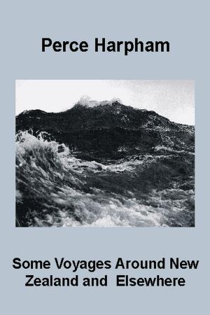 Cover of the book Some Voyages Around New Zealand & Elsewhere by Malcolm Snook