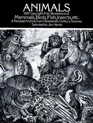 Cover of the book Animals by Carson Flammer