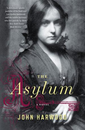 Cover of the book The Asylum by John Horgan
