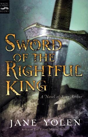 Book cover of Sword of the Rightful King