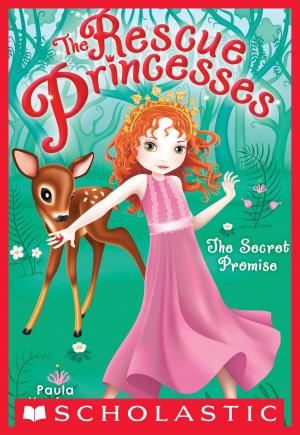 Cover of the book The Rescue Princesses #1: Secret Promise by Daniel Smith