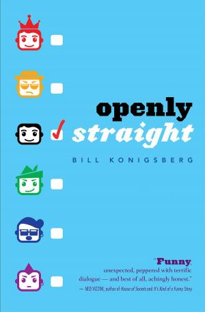 Cover of the book Openly Straight by Andy Marino
