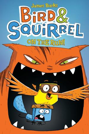 Cover of the book Bird & Squirrel On the Run (Bird & Squirrel #1) by Aaron Blabey