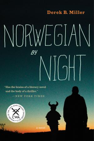 Cover of the book Norwegian by Night by Rachel Kadish
