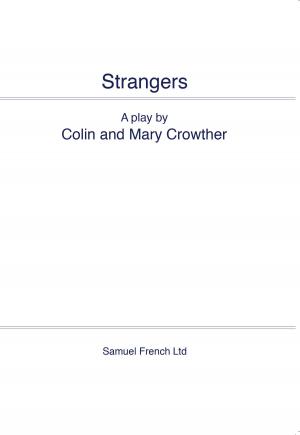 Cover of the book Strangers by Claire Braz Valentine