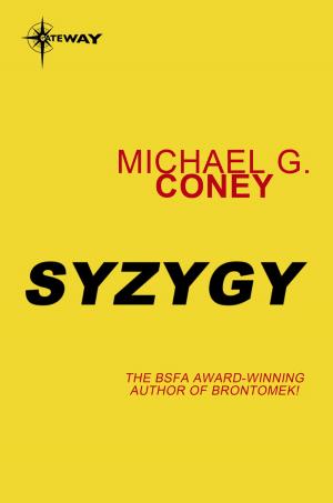 Book cover of Syzygy