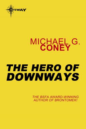 bigCover of the book The Hero of Downways by 