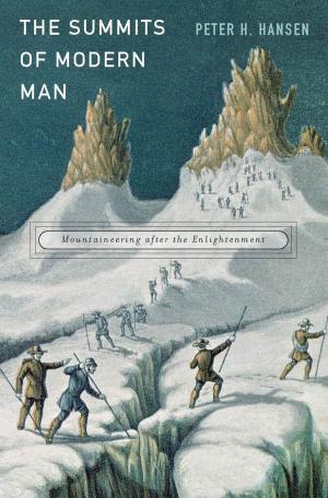 Book cover of The Summits of Modern Man