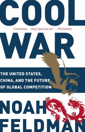 Cover of the book Cool War by Iris Johansen