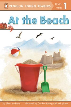 Book cover of At the Beach