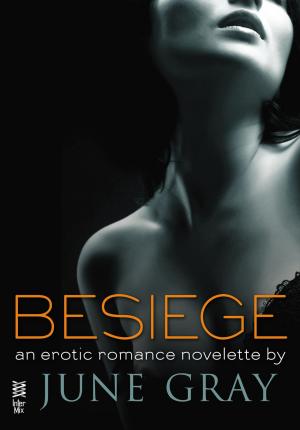 Book cover of Besiege