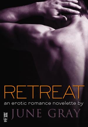 Cover of the book Retreat by Elizabeth Lyon